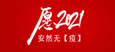 2020這【疫】年我們共同撐過(guò)了，愿2021安然無(wú)【疫】！